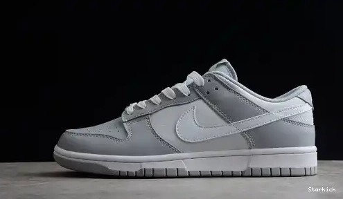 Dunk Tone Two NNike Low DJ6188-001 Grey 0608